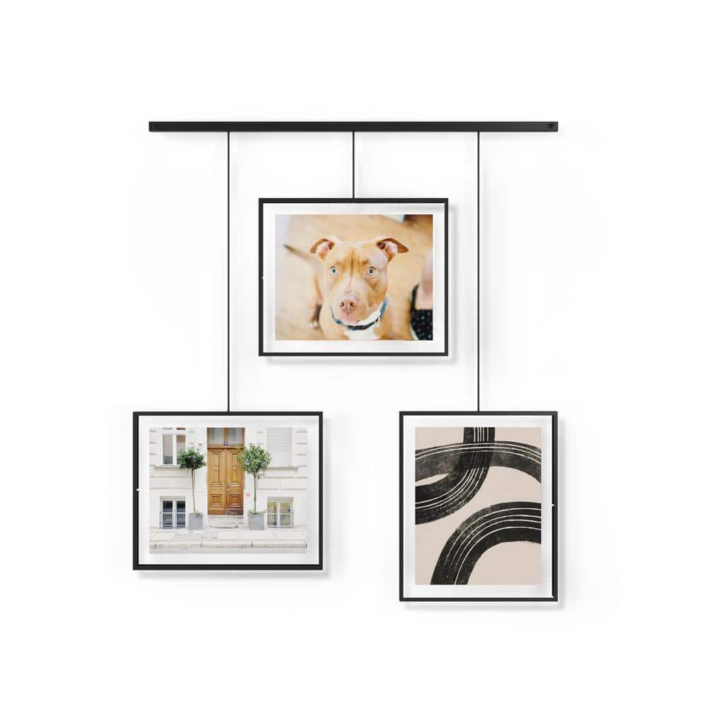 BLACK GALLERY 24x30 frame by Gallery Solutions® (3s) - Picture