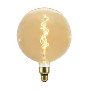 40-Watt Equivalent G200 Vintage Edison Decorative LED Light Bulb Amber (1-Bulb)