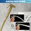 brushed-gold-boyel-living-bidet-faucets-smd-16029bg-1f.5