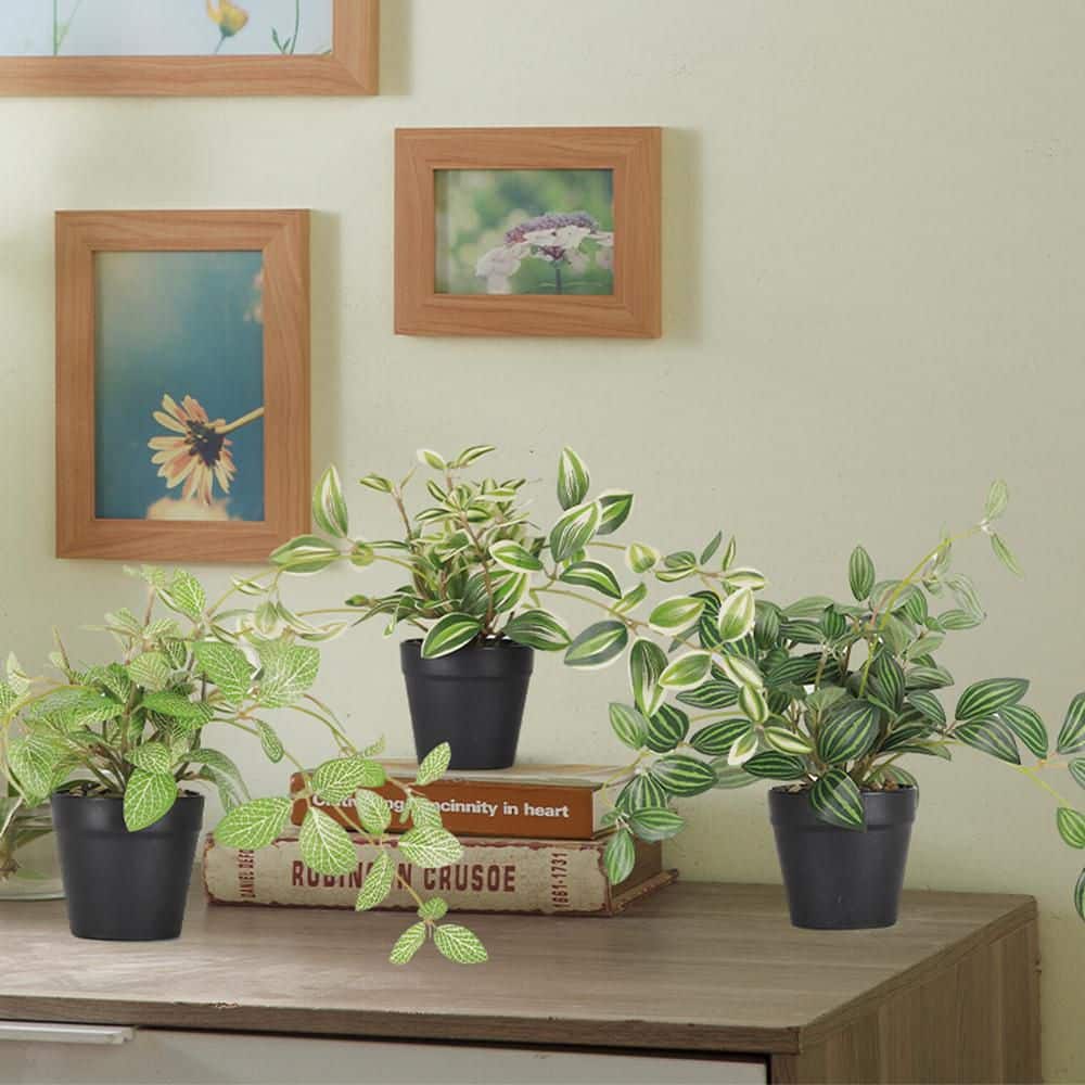 3 Pack 12 in. Green Hanging Artificial Eucalyptus Plants for Home Indoor Outdoor Wall Garden Decor price history on PriceWatchPro