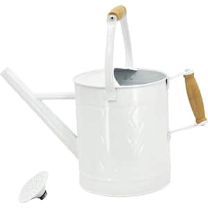1 Gal. Watering Can Decorative Farmhouse Watering Can, Metal Watering Can with Removable Spout