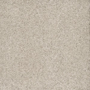 Brightstone II - Jackpot - Beige 55 oz. SD Polyester Texture Installed Carpet