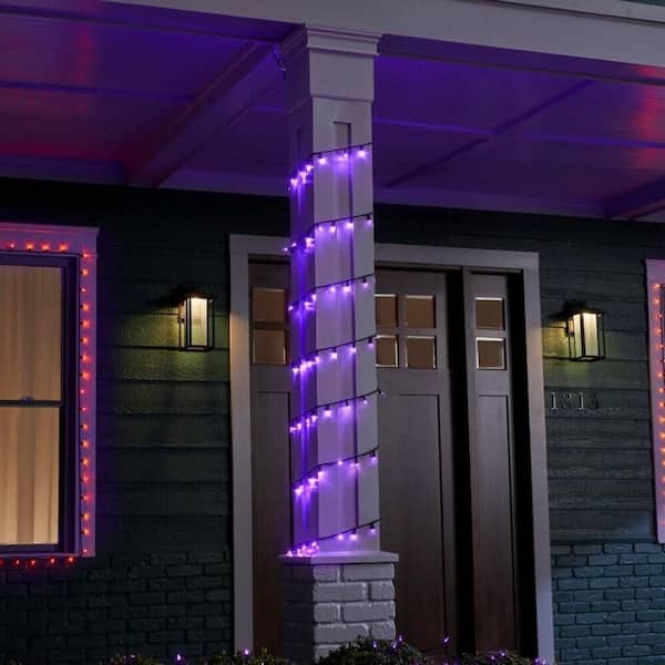 300 Purple Mini LED Lights