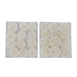 White Sola Boxed Chrysanthemum and Daisy Flowers (Set of 2)