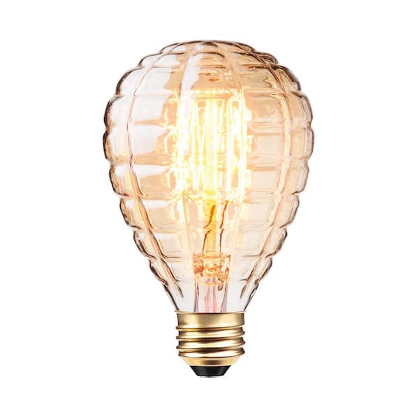 40 Watt Dimmable Cage Filament Amber Glass Vintage Edison Incandescent Light Bulb, Soft White Light