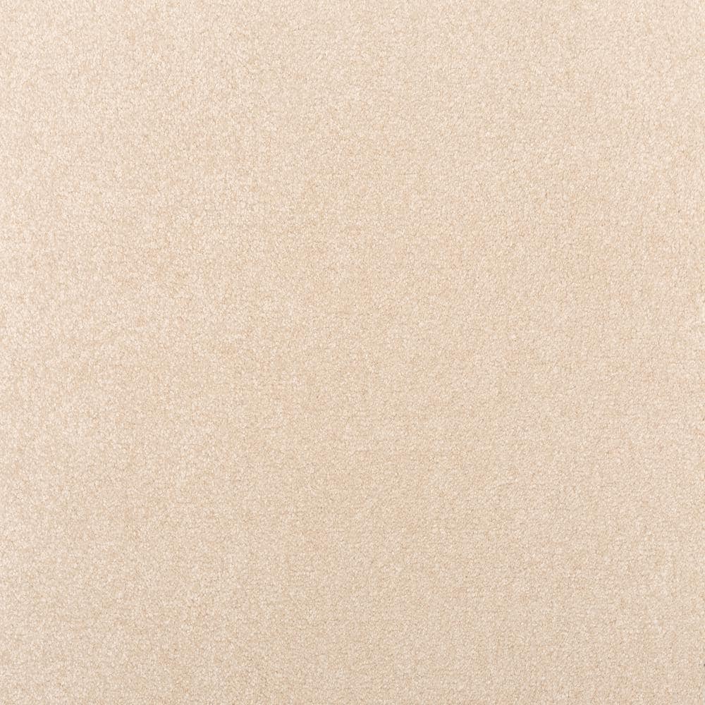 8 in. x 8 in. Texture Carpet Sample - Waking Up I - Color Sleepy price history on PriceWatchPro