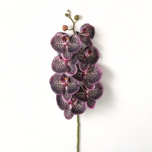 SULLIVANS 35 in. Purple Indoor Artificial Phalaenopsis Flower Spray