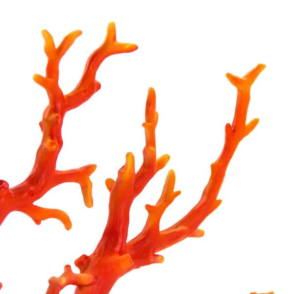 Zentique Off-White Resin Coral on Acrylic Base SHI064 - The Home Depot