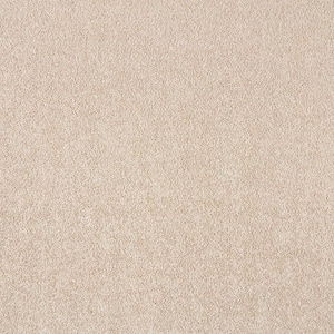 Silver Mane II  - Au Natural - Beige 65 oz. Triexta Texture Installed Carpet