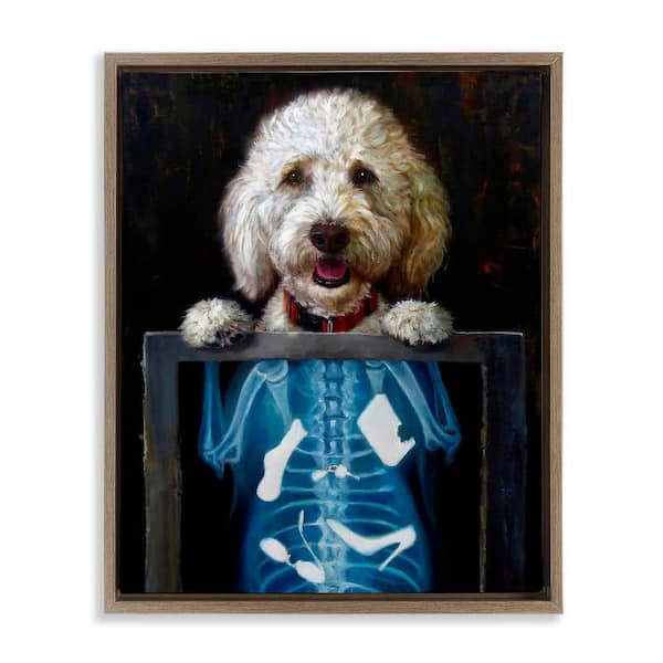 Stupell Industries Funny Dog X-Ray Snacks by Lucia Heffernan 1 Piece Brown Floater Frame Animal Graphic Art Print 17 in. x 21 in.