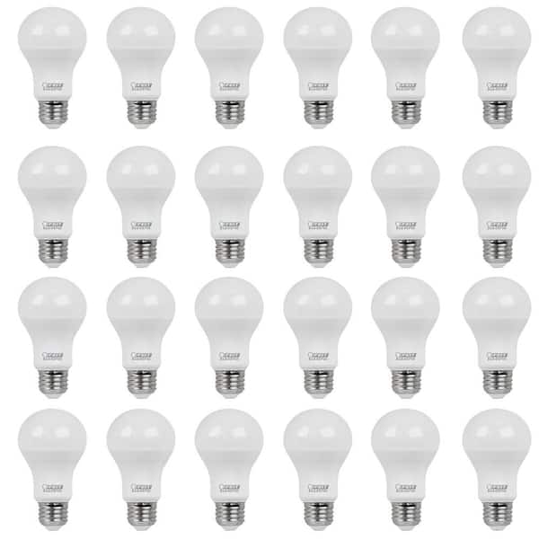 Feit Electric 60-Watt Equivalent A19 Non-Dimmable General Purpose E26 Medium Base LED Light Bulb, 5000K Daylight (24-Pack)