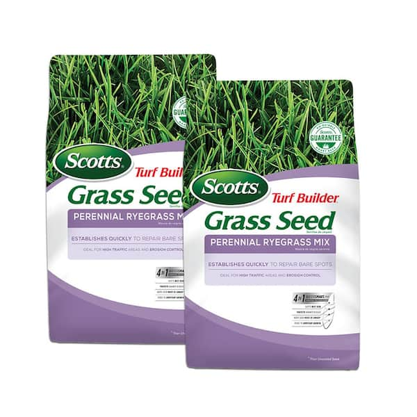 Scotts Turf Builder 7 Lbs Grass Seed Perennial Ryegrass Mix Ideal For High Traffic Areas And