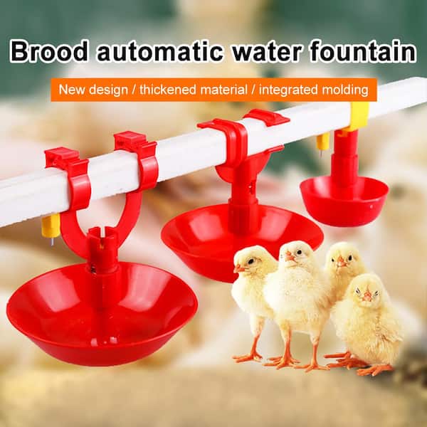 Chinking Machine Fountain Chicken Watering Systems Farm Innovators Heated Chicken