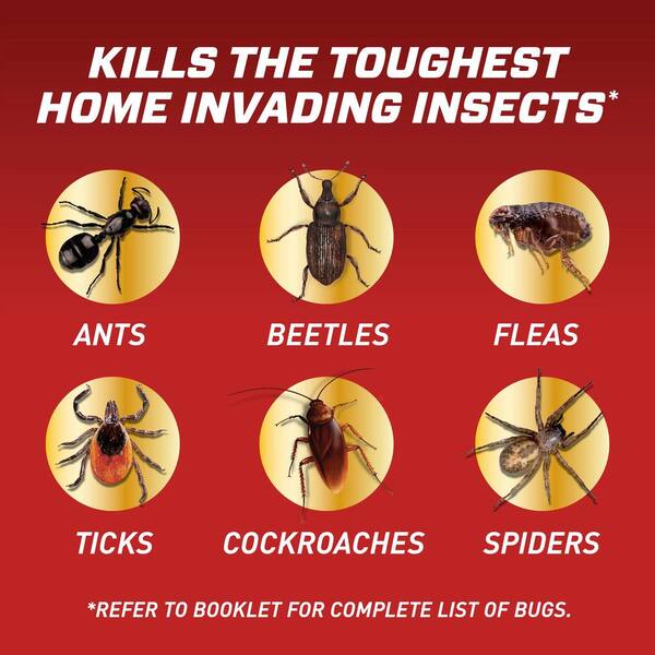 Ortho Home Defense Insect Killer for Indoor and Perimeter 2, 1 Gal 