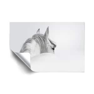 White Horse Animals Removable Wall Mural