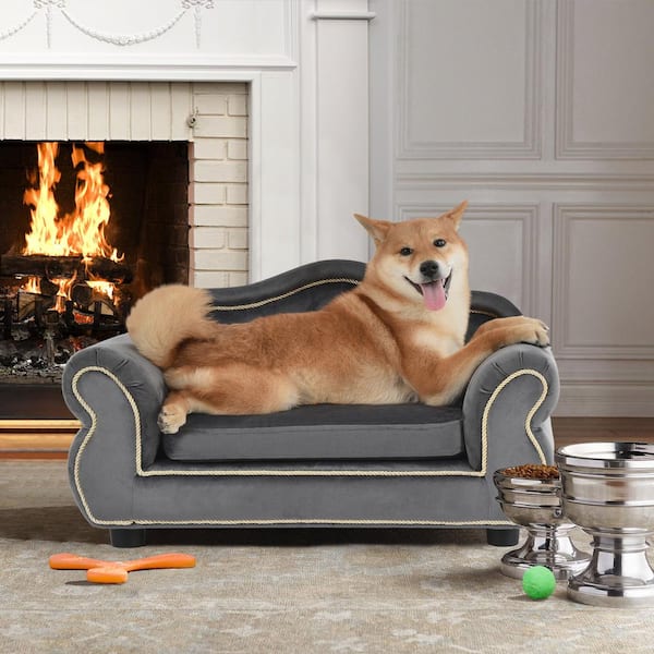 Seafuloy 26.8 in. Wide Rolled Arm Velvet Wooden Frame Dog or Pets 2-Seat Sofa with Removable Cushion in Gray