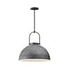 ALORA MOOD Harper 16 in. 1 Light 60-Watt Steel Shade Pendant Light ...