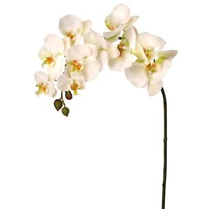 34 in. White Artificial Orchid Flower Stem