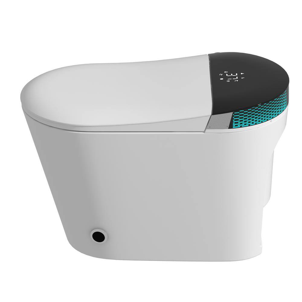 FUFU&GAGA Smart Dual Flush 1-Piece Toilet 1.28 GPF Toilet in White with ...