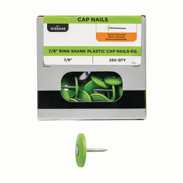 7/8 in. x 12-Gauge Electrogalvanized Ring Shank Plastic Cap Roofing Nail (250-Pack)