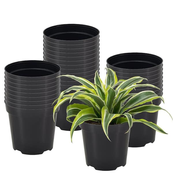 4 in. Black Plastic Standard Grow Pot (100-Pack)