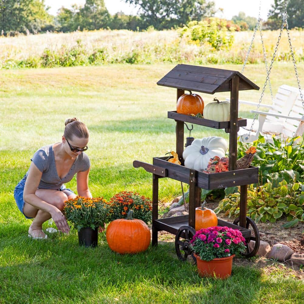 Charred Fir Wood 3-Tier Wheeled Flower Cart Display Stand