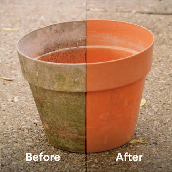 121 oz. Pro Results Concentrated Liquid Outdoor Bleach Cleaner (3-Pack)