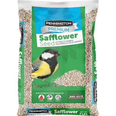 Premium 7 lbs. Safflower Bird Seed Bird Food