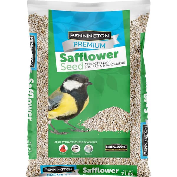 Pennington Premium 7 lb. Safflower Bird Seed Food