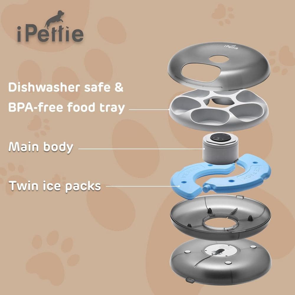 Black Cordless Automatic Pet Feeder with Ice Packs