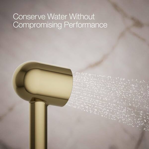 KOHLER Statement Iconic 1-Spray Patterns Wall Mount Handheld