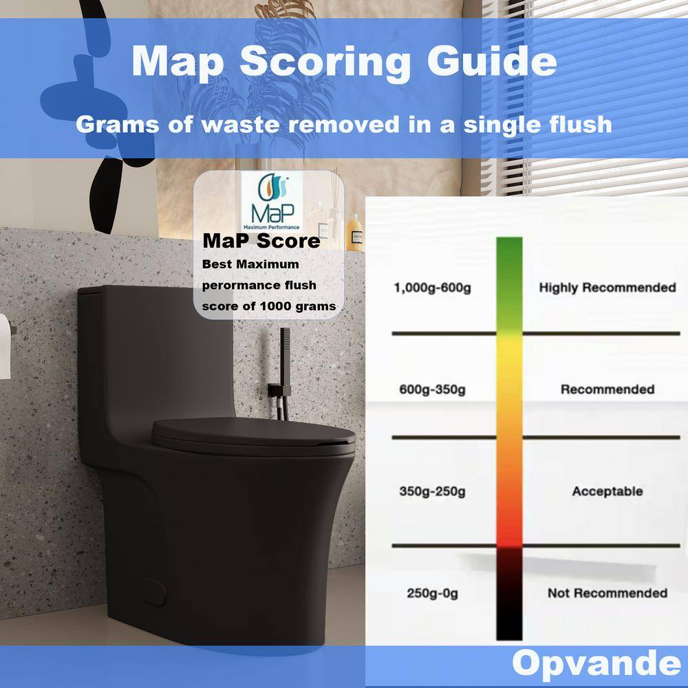 Matte Black Ceramic One-Piece Dual Flush Elongated Toilet