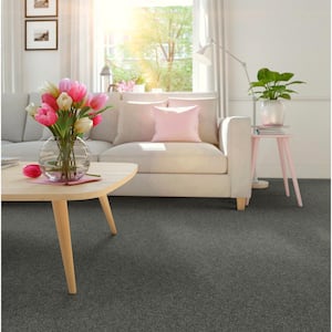 Coastal Charm II Color Feather Beige 56 oz. Nylon Texture Installed Carpet