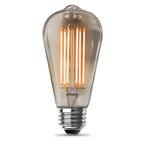 60-Watt Equivalent ST19 Dimmable Cage Filament Clear Glass E26 Vintage Edison LED Light Bulb, Warm White