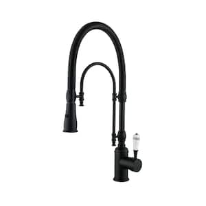 Single Handle Pull Down Sprayer Kitchen Faucet with Advanced 2-Setting Spray in Matte Black