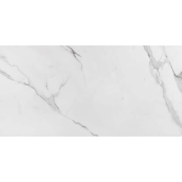 ELIANE Place PO 12 in. x 24 in. Porcelain Floor and Wall Tile (11.19 sq. ft.)