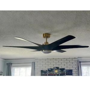 Wilfred 65 in. Indoor Gold Ceiling Fan with Light, Integrated LED 6-Reversible Black Blades and Remote Control