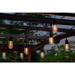 12-Light 24 ft. Indoor/Outdoor Plug-In Edison Bulb String Light with T45 Single Filament LED Bulbs