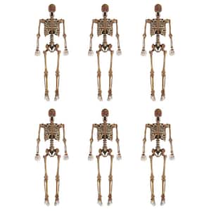 5 ft. Poseable Decayed Skeleton with LED eyes (6-Pack)