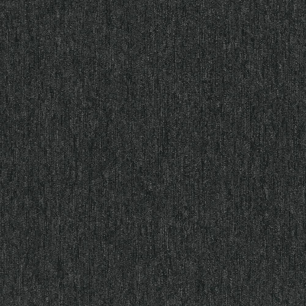 8 in. x 8 in. Loop Carpet Sample - Cadence Step Tile - Color Vega price history on PriceWatchPro