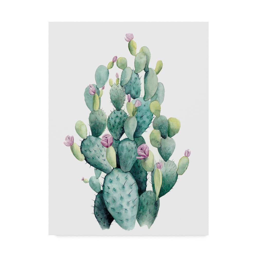 Grace Popp Desert Blooms I Canvas Unframed Photography Wall Art 18 in. x 24 in price history on PriceWatchPro