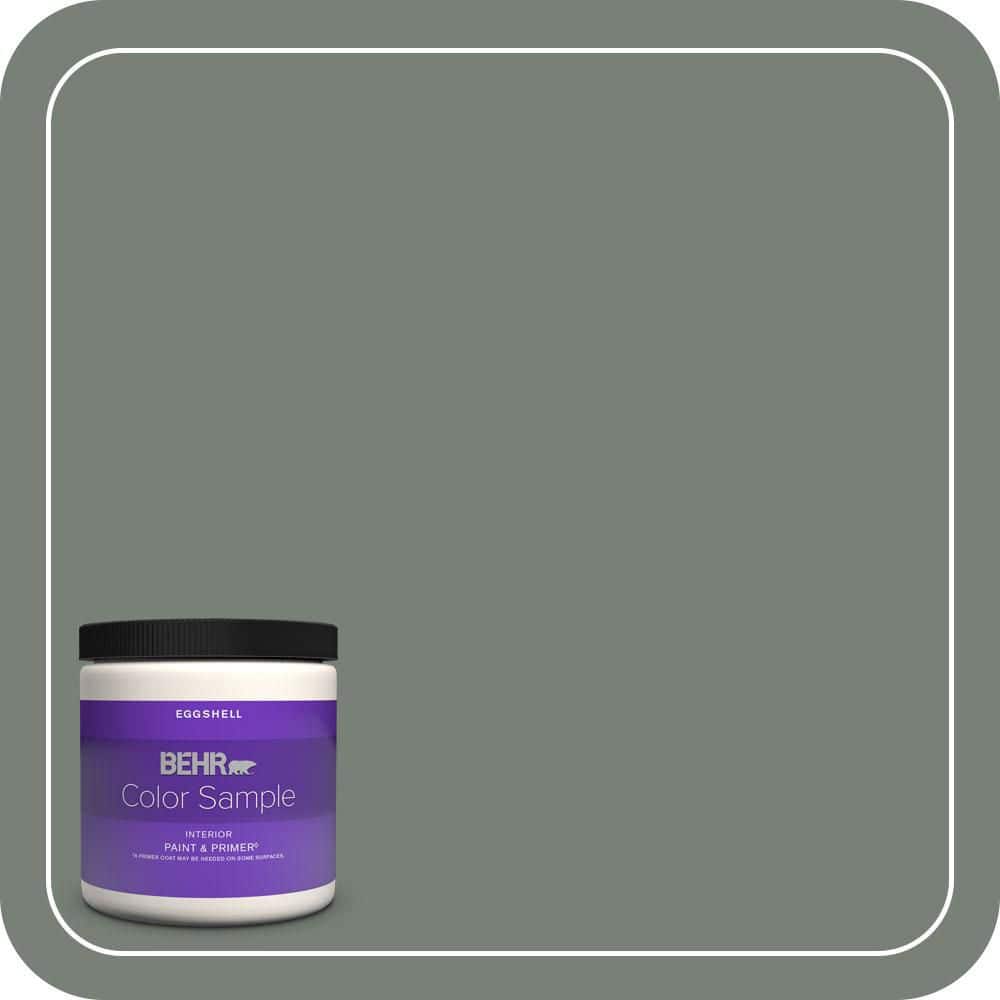 8 oz. Home Decorators Collection #HDC-AC-22 Cedar Forest Eggshell Enamel Interior Paint & Primer Color Sample price history on PriceWatchPro
