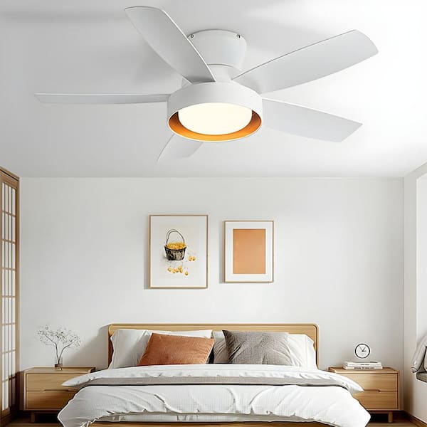 Sofucor 42 in. Indoor Modern 5 ABS Blade White Downrod Ceiling Fan