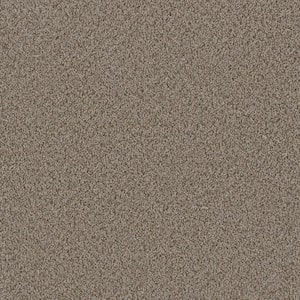 Cay - Sand - Beige 12 ft. Wide x Cut to Length 24 oz. Polyester Texture Carpet