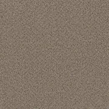 Cay - Sand - Beige 12 ft. 24 oz. Polyester Texture Full Roll Carpet (1080 sq. ft./Roll)