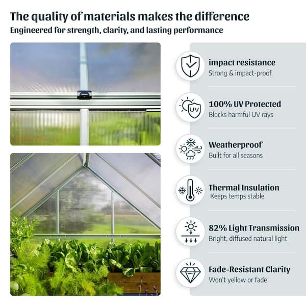 CANOPIA by PALRAM Mythos 6 ft. x 4 ft. Silver/Clear Polycarbonate