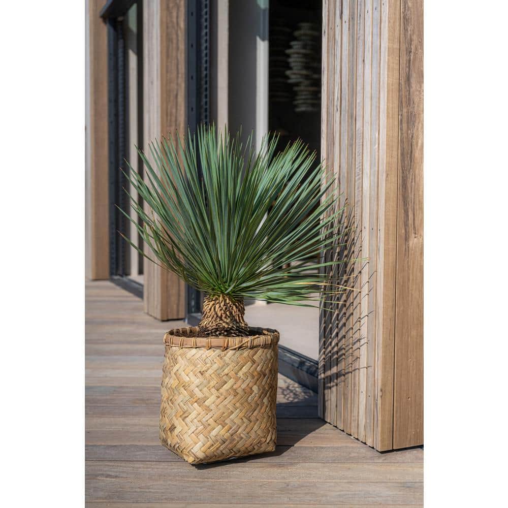 Natural Bamboo and Cement Round Indoor Outdoor Planter, 14.6"