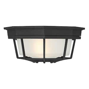 Exterior Collections 1-Light Outdoor Flush Mount in Black