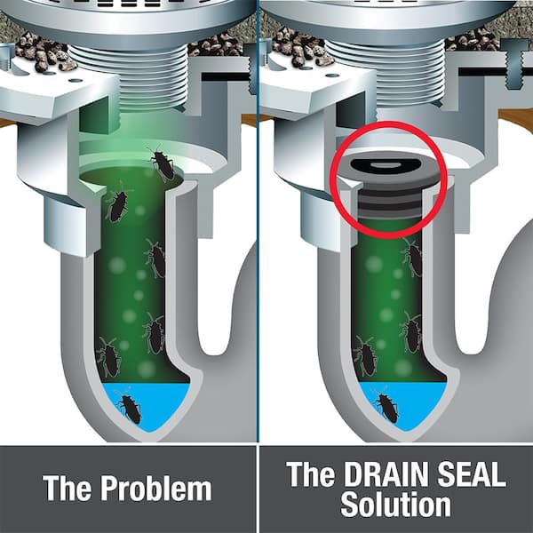 Floor Drain Trap Primer Diagram