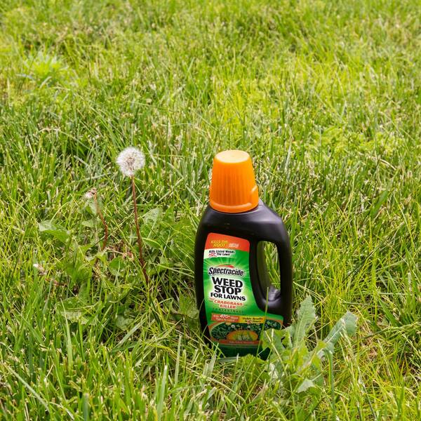 Spectracide Weed Stop 32 Oz Concentrate Plus Crabgrass Killer Hg 96393 1 The Home Depot